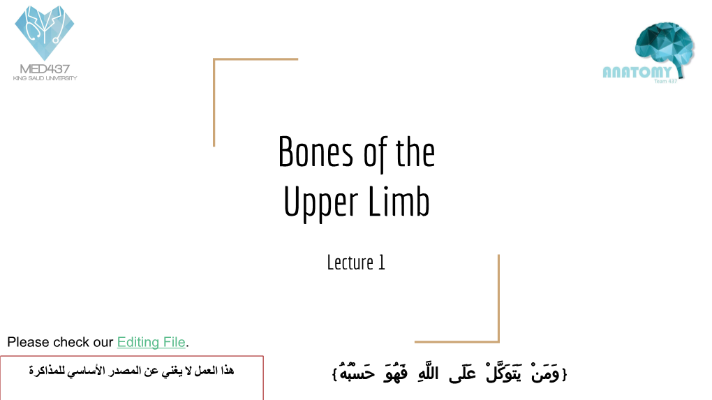 Bones of the Upper Limb