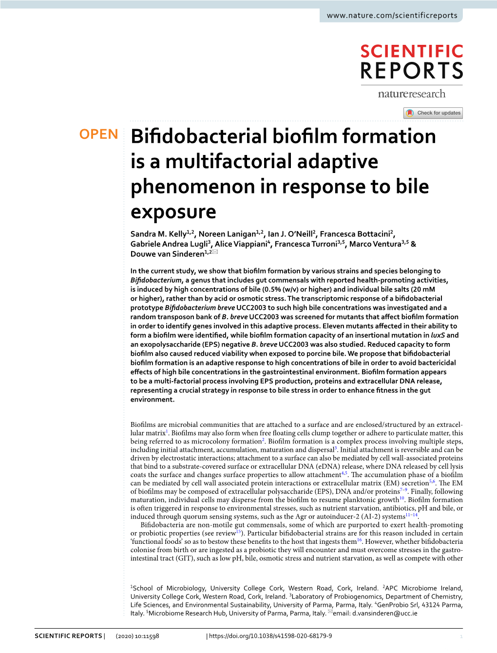 Bifidobacterial Biofilm Formation Is a Multifactorial Adaptive Phenomenon