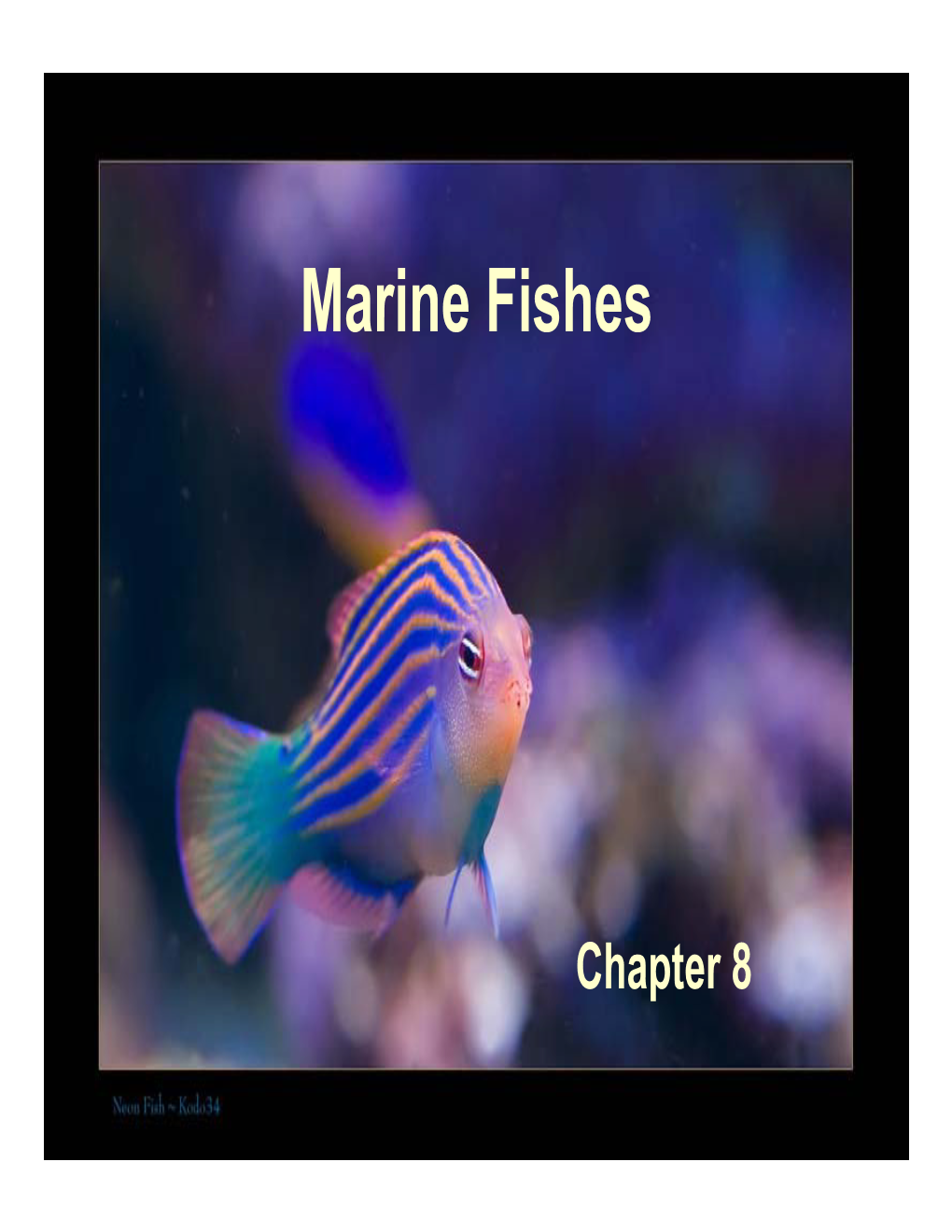 Marine Fishes