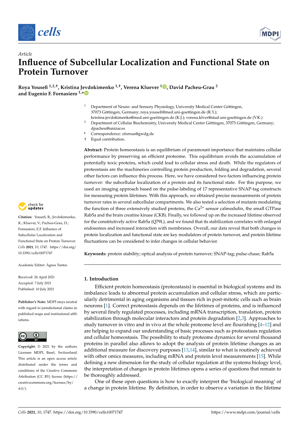 Influence of Subcellular Localization and Functional State on Protein Turnover