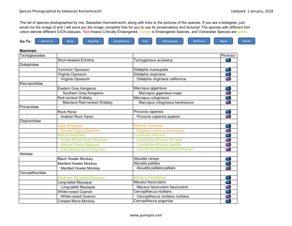 Species Photographed by Sebastian Kennerknecht Updated: 1 January, 2018