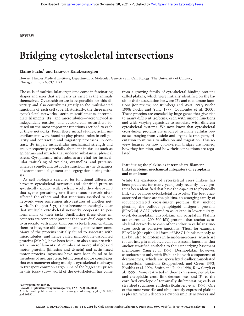 Bridging Cytoskeletal Intersections