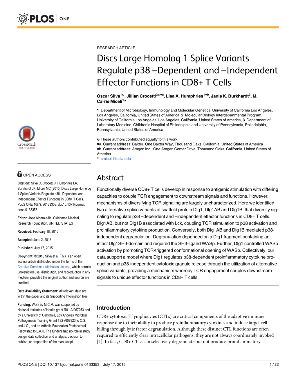 Discs Large Homolog 1 Splice Variants Regulate P38 –Dependent and –Independent Effector Functions in CD8+ T Cells