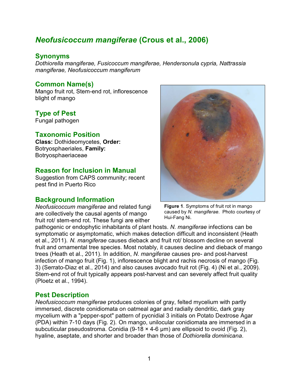 Neofusicoccum Mangiferae (Crous Et Al., 2006)