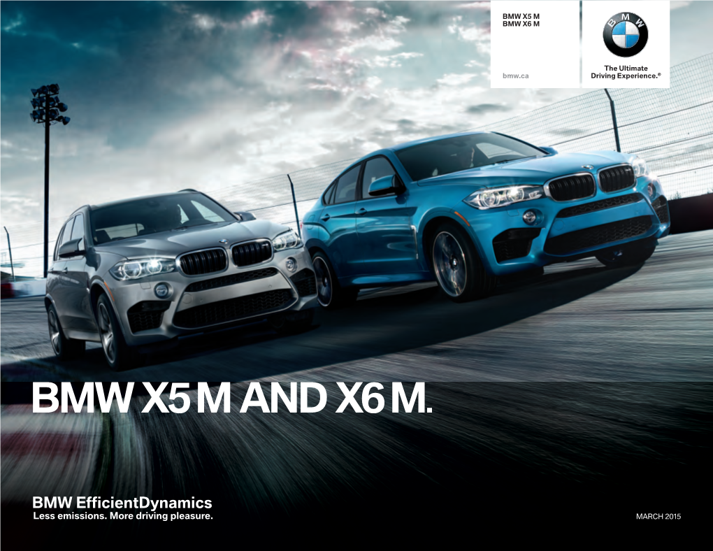 Bmw X5m and X6m