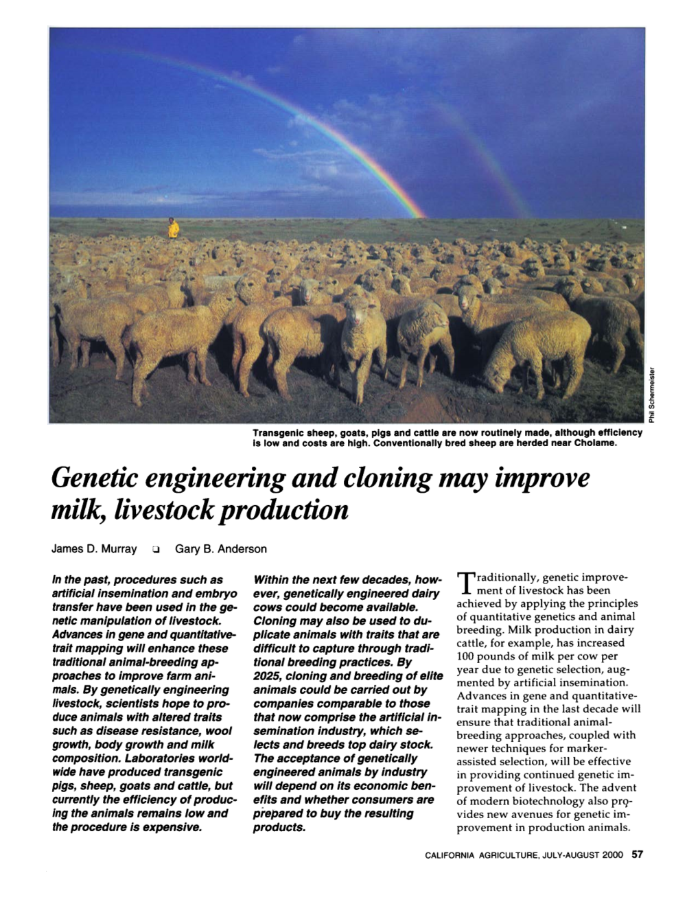 Genetic Engineering and Cloning May Improve Milk, Livestock Production