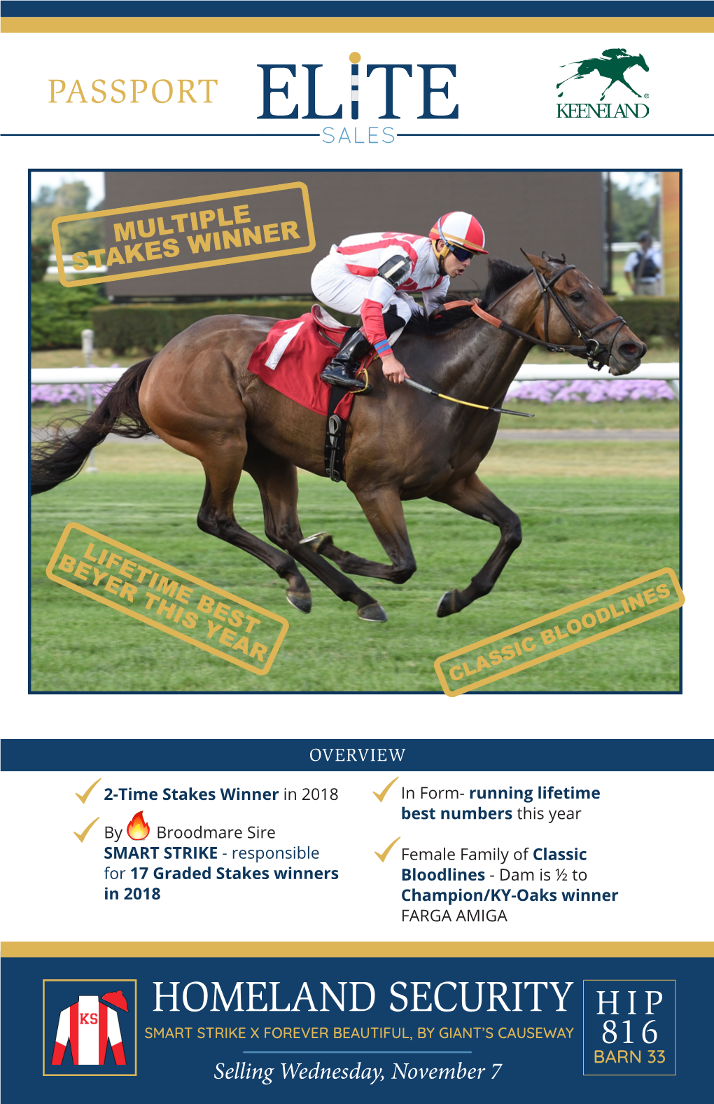 HOMELAND SECURITY HIP SMART STRIKE X FOREVER BEAUTIFUL, by GIANT’S CAUSEWAY 816 BARN 33 Selling Wednesday, November 7 RACE CAREER OVERVIEW RACE CAREER OVERVIEW