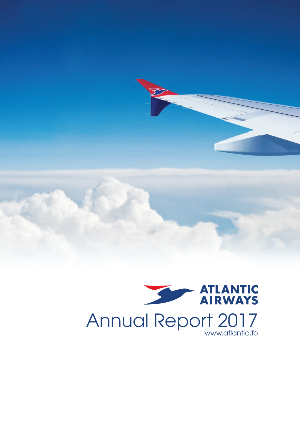 Annual Report 2017 1.1 Company Information