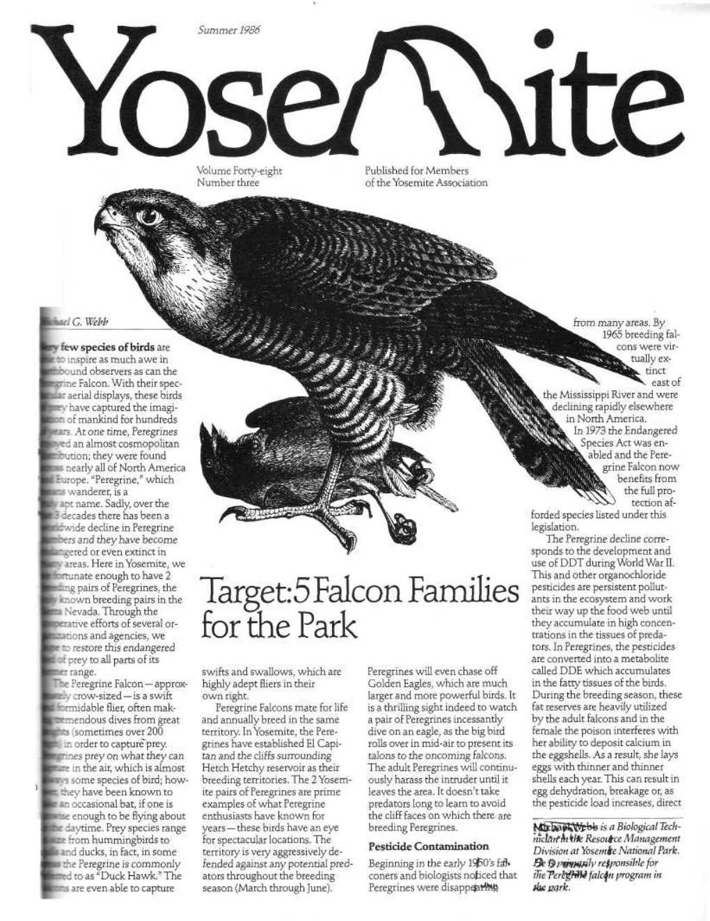 Target:5 Falcon Families for the Park