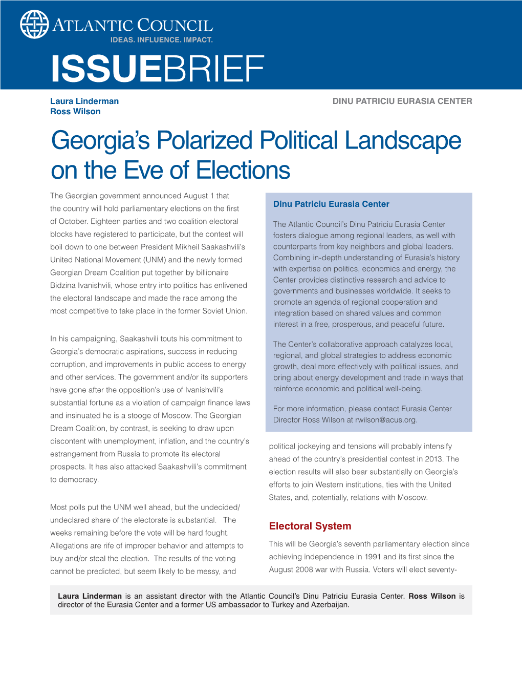 Georgia's Polarized Political Landscape on the Eve of Elections