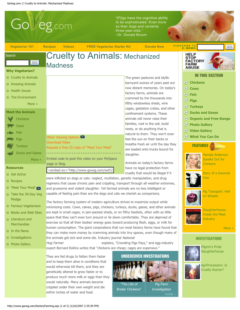 Goveg.Com // Cruelty to Animals: Mechanized Madness