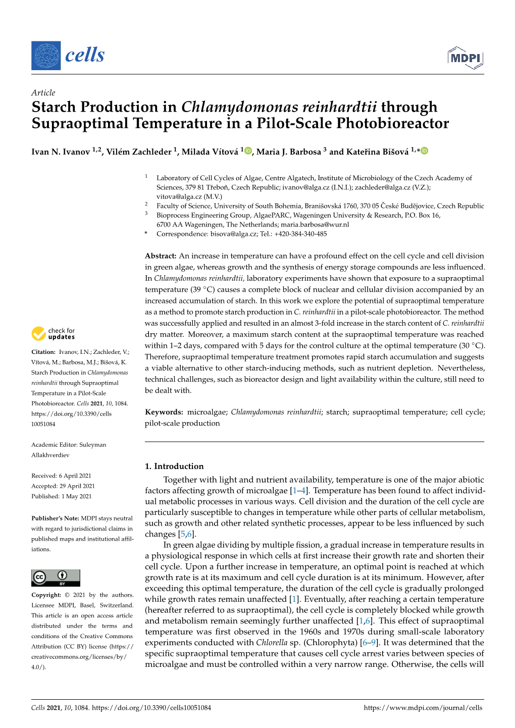 Starch Production in Chlamydomonas Reinhardtii Through Supraoptimal Temperature in a Pilot-Scale Photobioreactor