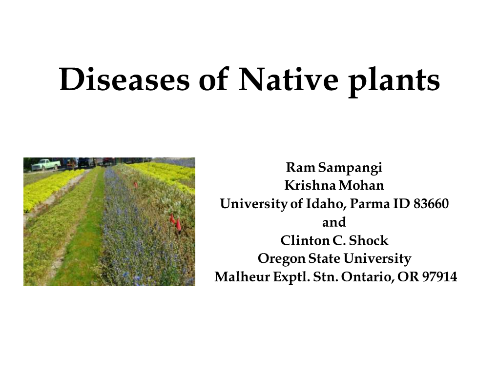 Diseases of Native Plants