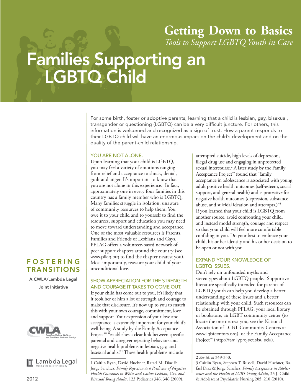 Families Supporting an LGBTQ Child