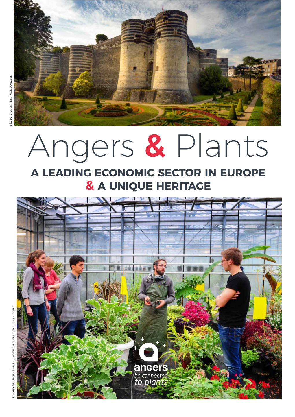 Angers & Plants Leaflet