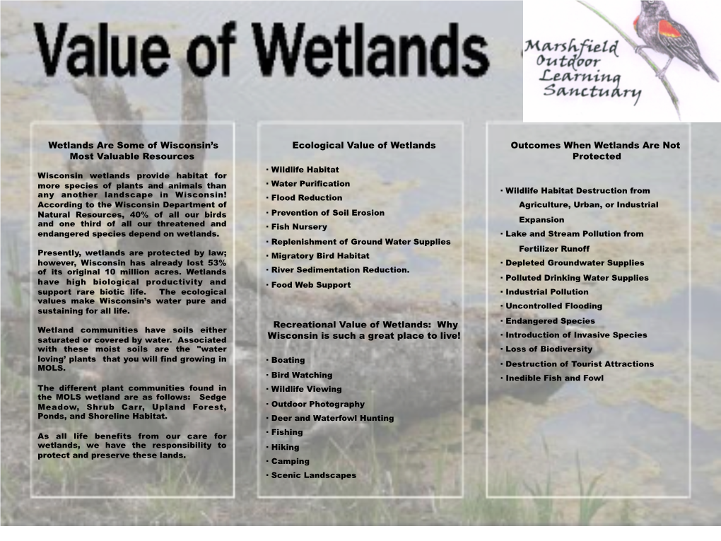 Invasive Species Saturated Or Covered by Water