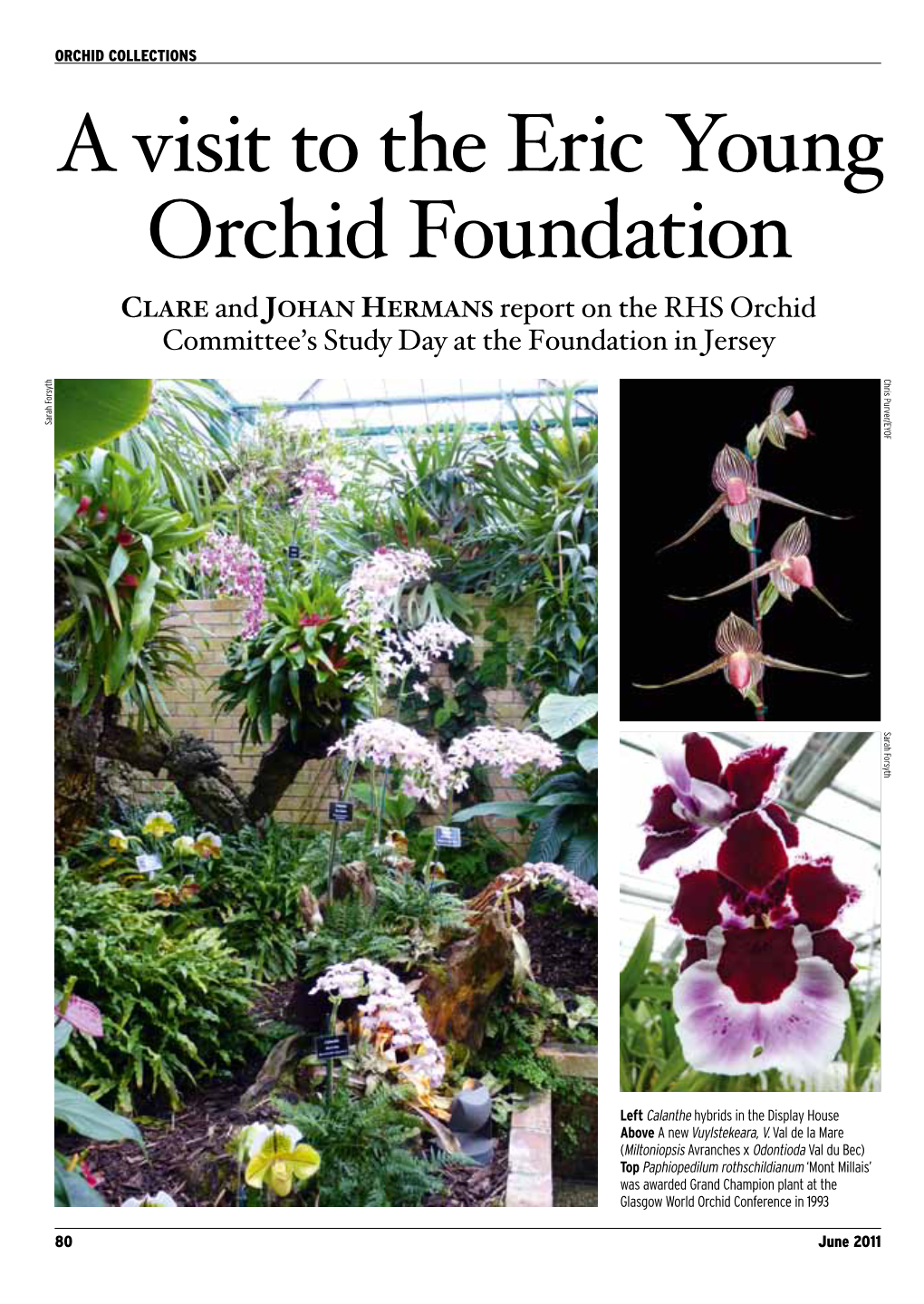 A Visit to the Eric Young Orchid Foundation