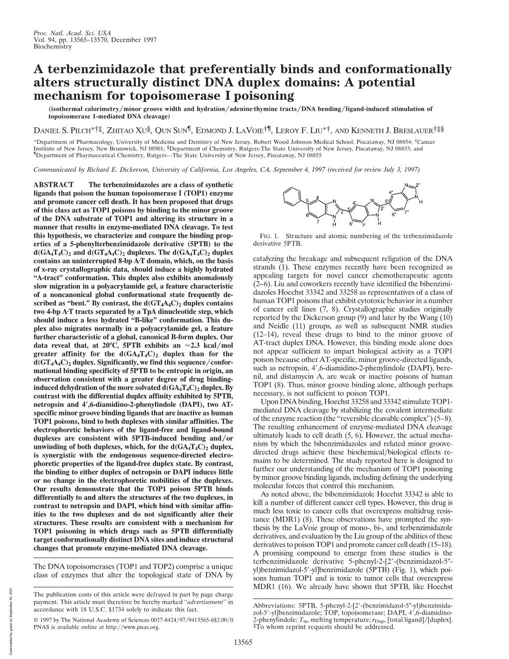 A Terbenzimidazole That Preferentially Binds and Conformationally