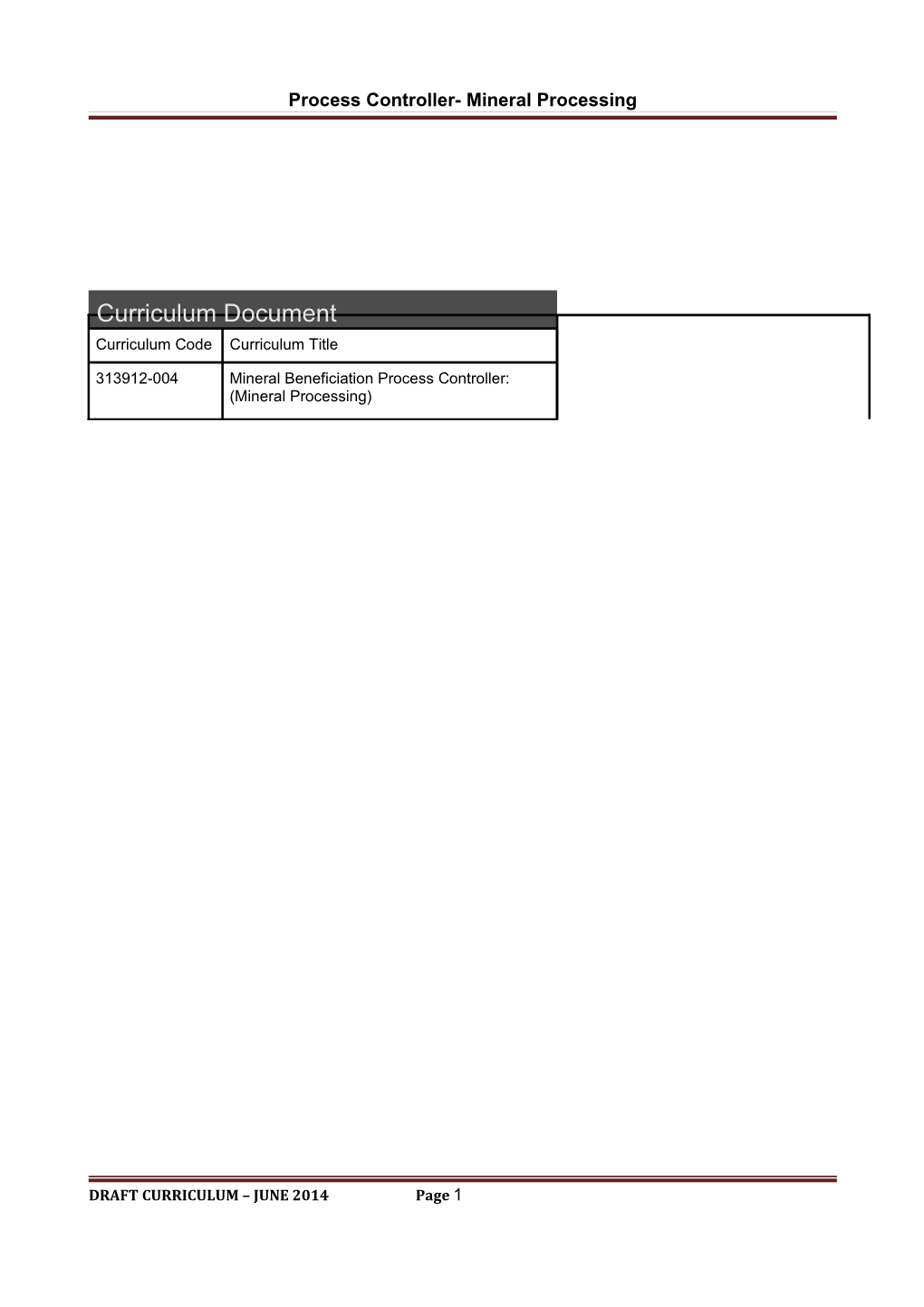 Process Controller- Mineral Processing