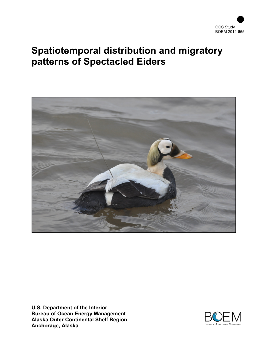 Spatiotemporal Distribution and Migratory Patterns of Spectacled Eiders