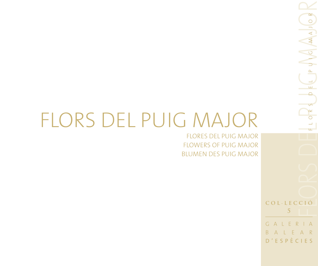 Flors Del Puig M Ajor
