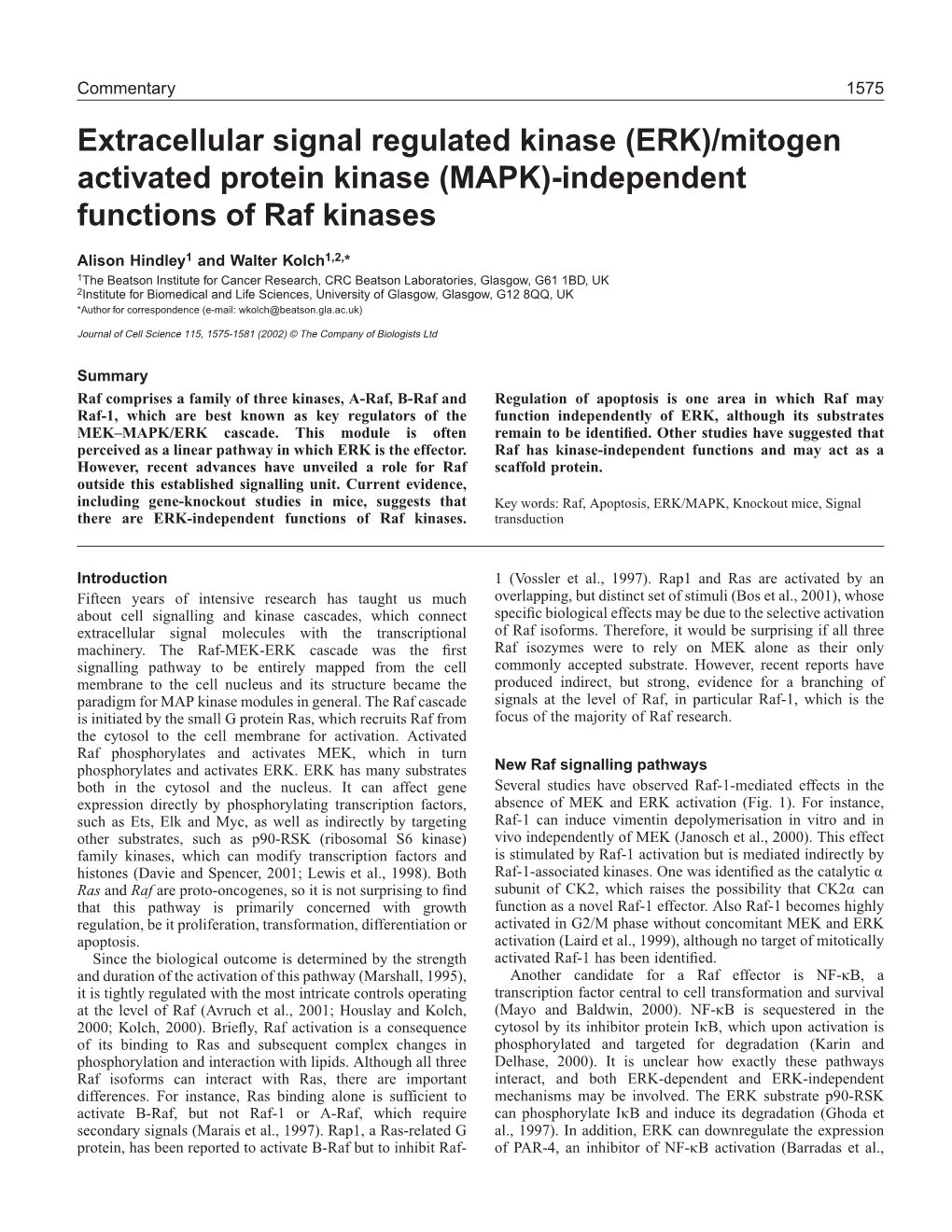 ERK/MAPK-Independent Functions of Raf Kinases 1577 1993) and the Substrate MEK (Dhillon Et Al., 2002)