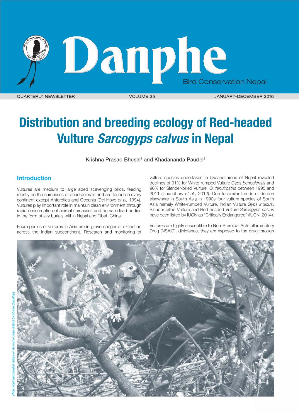Danphe Newsletter (Oct-Jan 2015).Indd