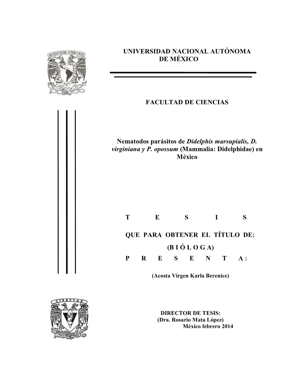 Tesis: Nematodos Parásitos De Didelphis Marsupialis, D. Virginiana Y P. Oposum (Mammalia: Didelphidae) En México