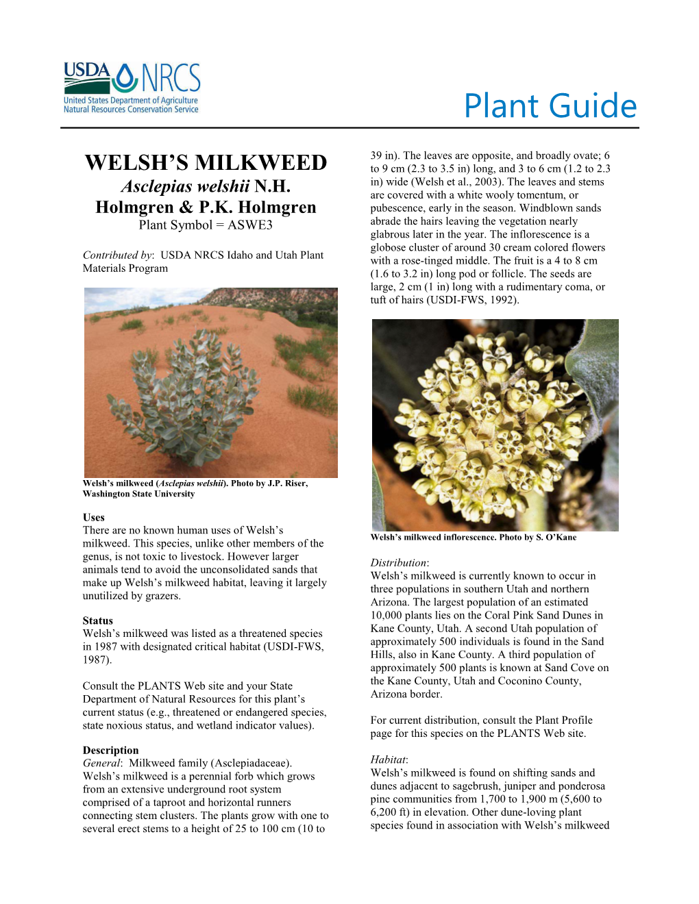 Plant Guide for Welsh's Milkweed (Asclepias Welshii)