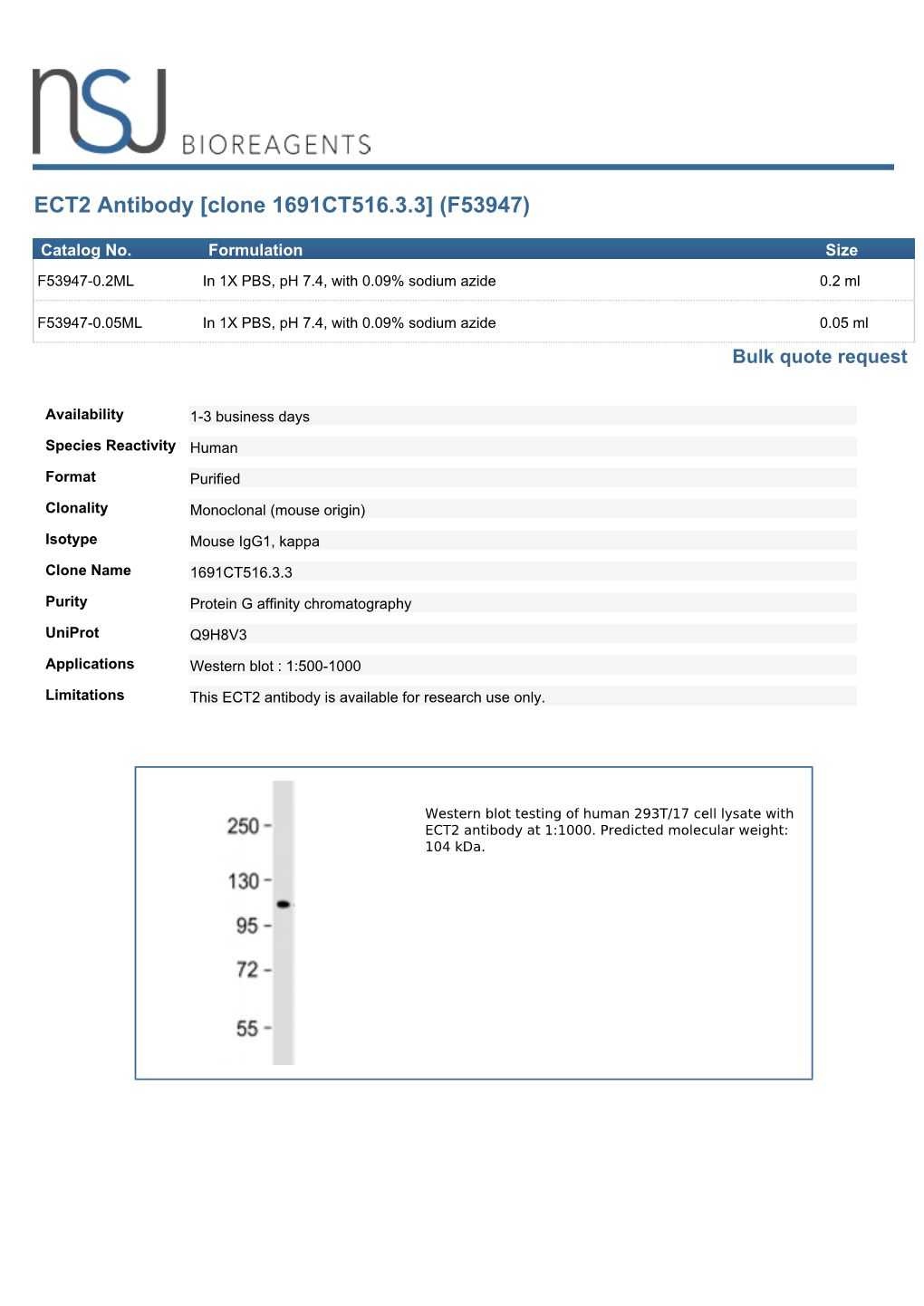 ECT2 Antibody [Clone 1691CT516.3.3] (F53947)