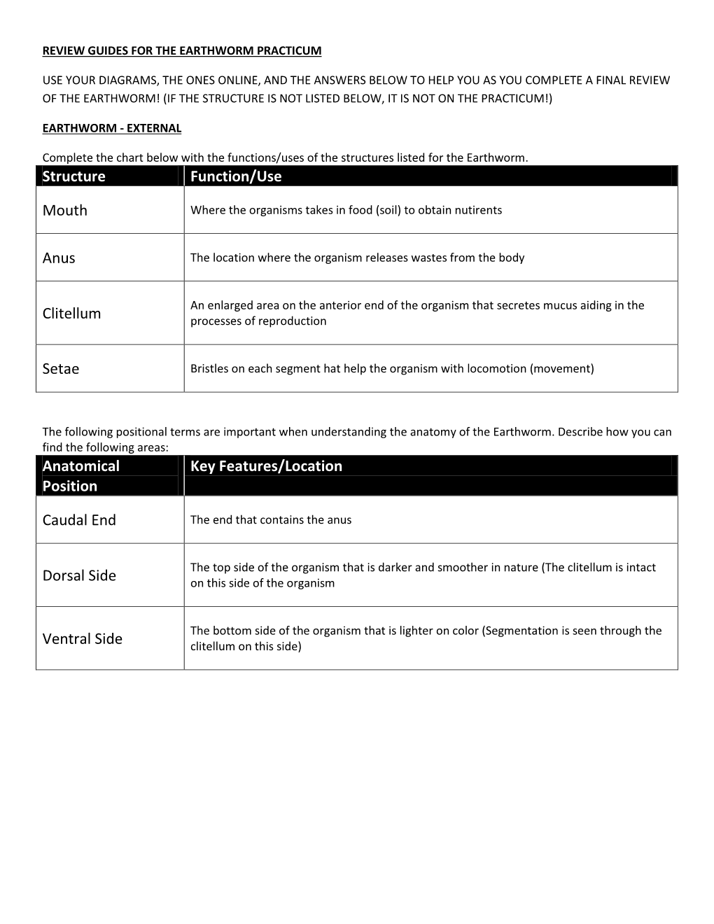 Structure Function/Use Mouth Anus Clitellum Setae Anatomical Position