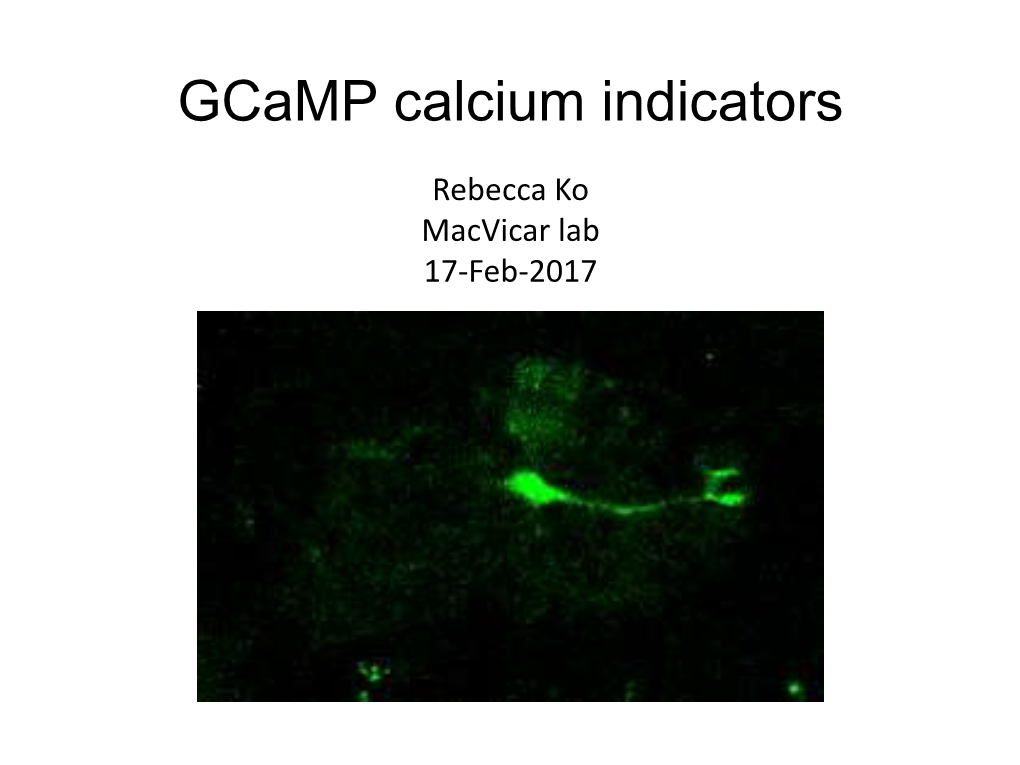 Gcamp Calcium Indicators