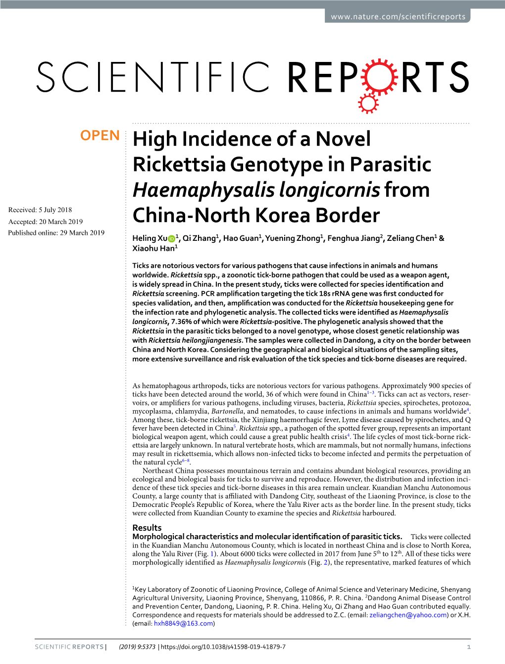 High Incidence of a Novel Rickettsia Genotype in Parasitic
