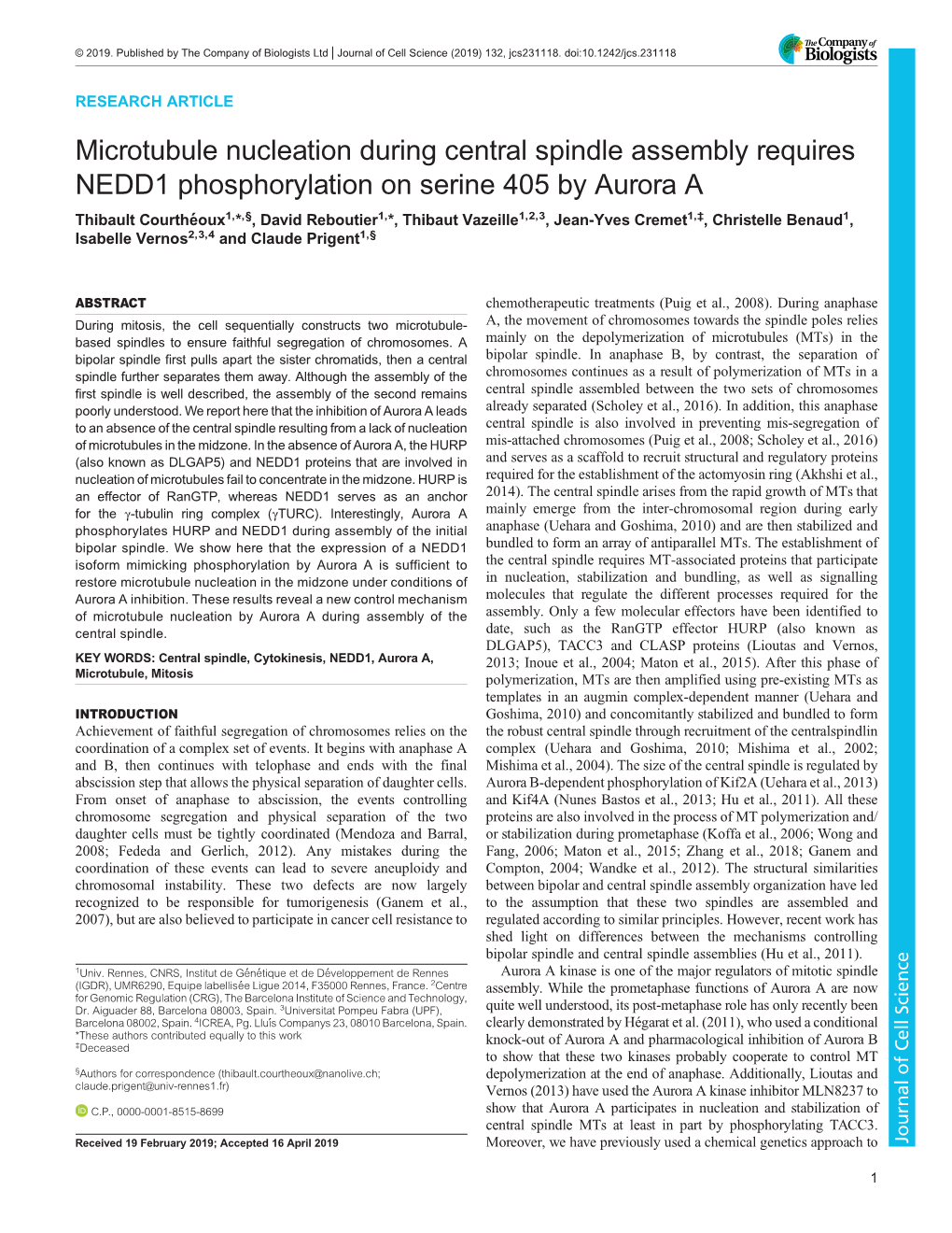 Microtubule Nucleation During Central Spindle Assembly Requires NEDD1