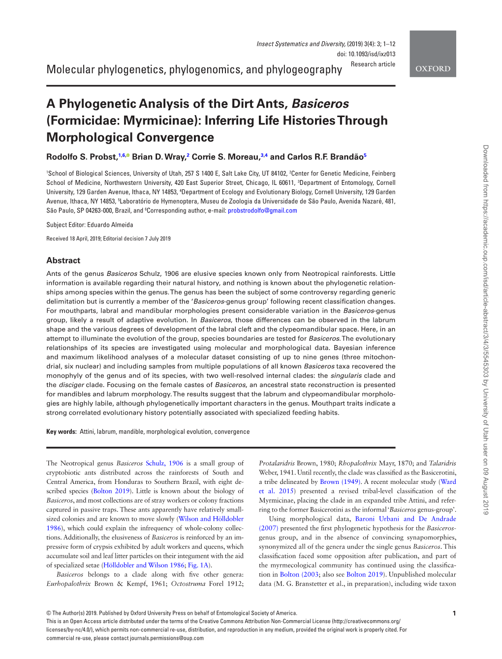 A Phylogenetic Analysis of the Dirt Ants, Basiceros (Formicidae