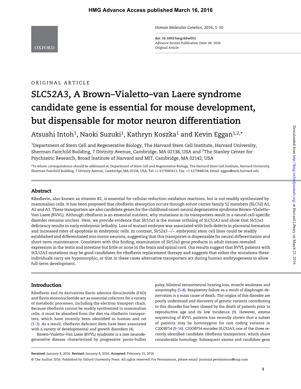 SLC52A3, a Brown–Vialetto–Van Laere Syndrome Candidate Gene Is Essential for Mouse Development