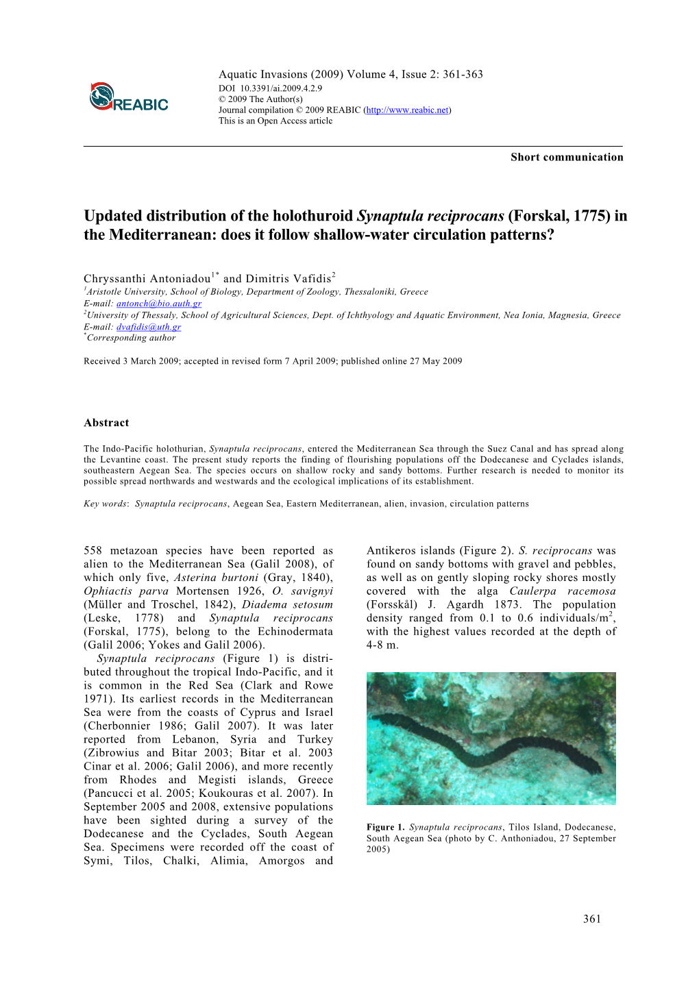 Updated Distribution of the Holothuroid Synaptula Reciprocans (Forskal, 1775) in the Mediterranean: Does It Follow Shallow-Water Circulation Patterns?