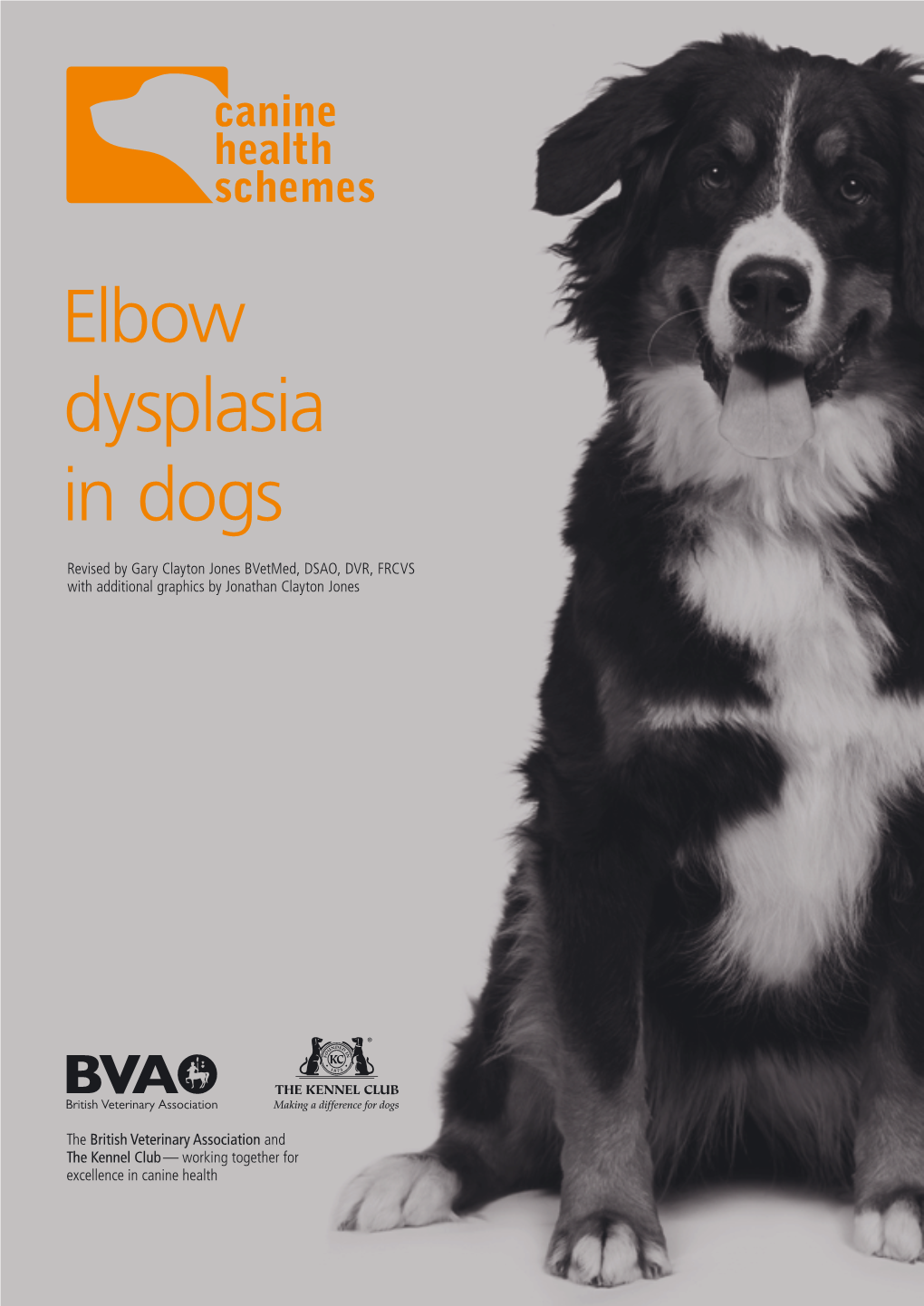 Elbow Dysplasia in Dogs