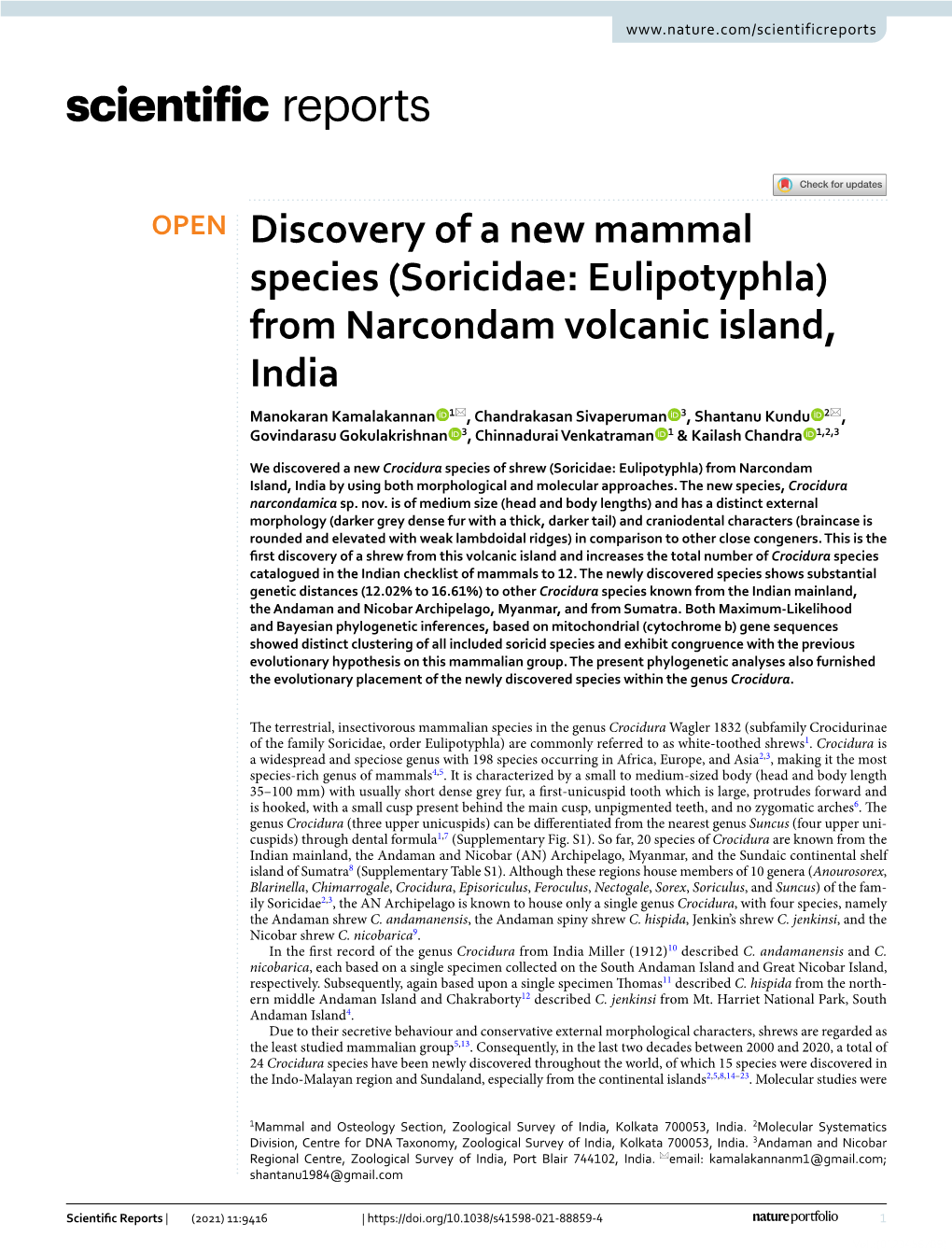 (Soricidae: Eulipotyphla) from Narcondam Volcanic Island