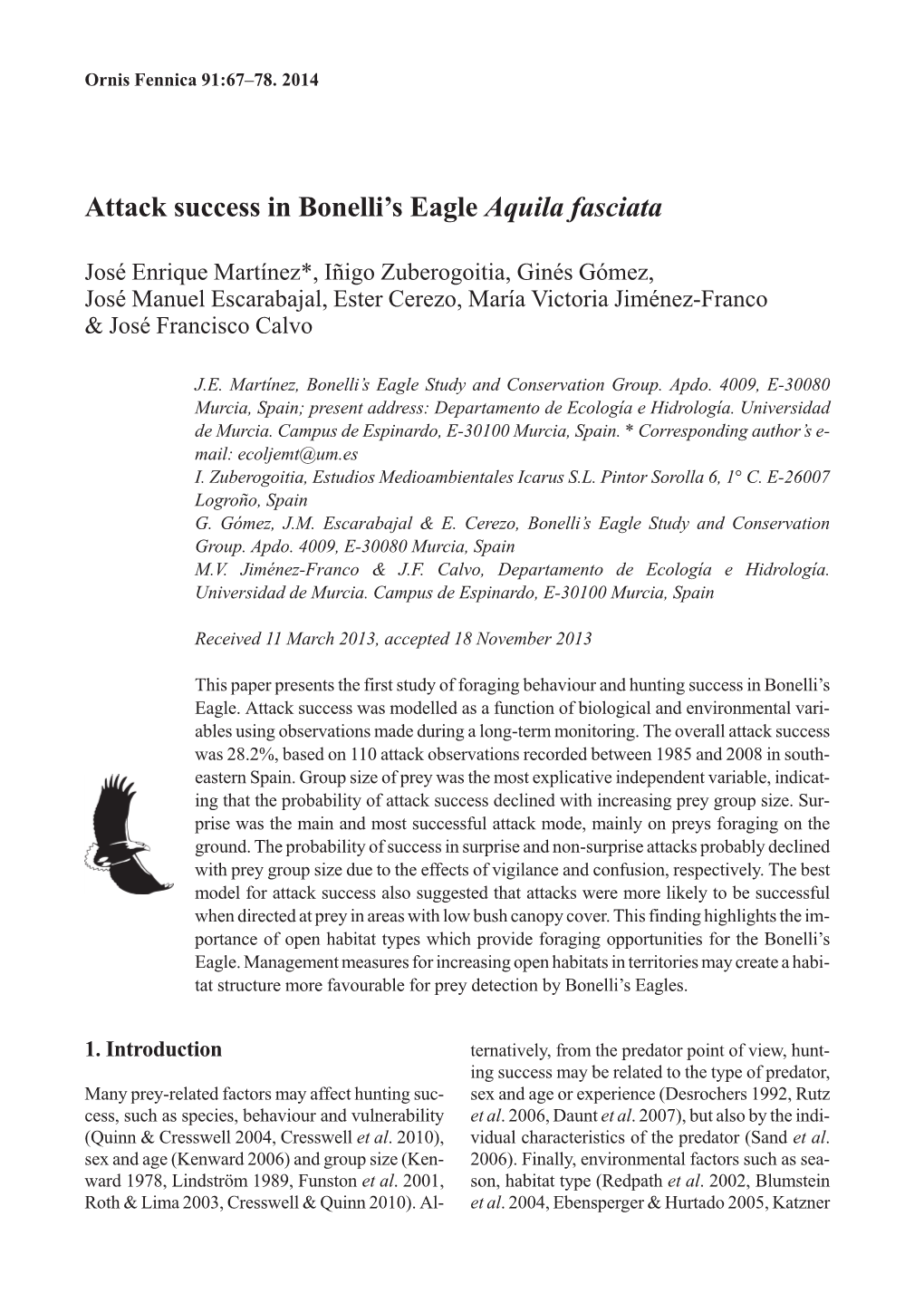 Attack Success in Bonelli's Eagle Aquila Fasciata