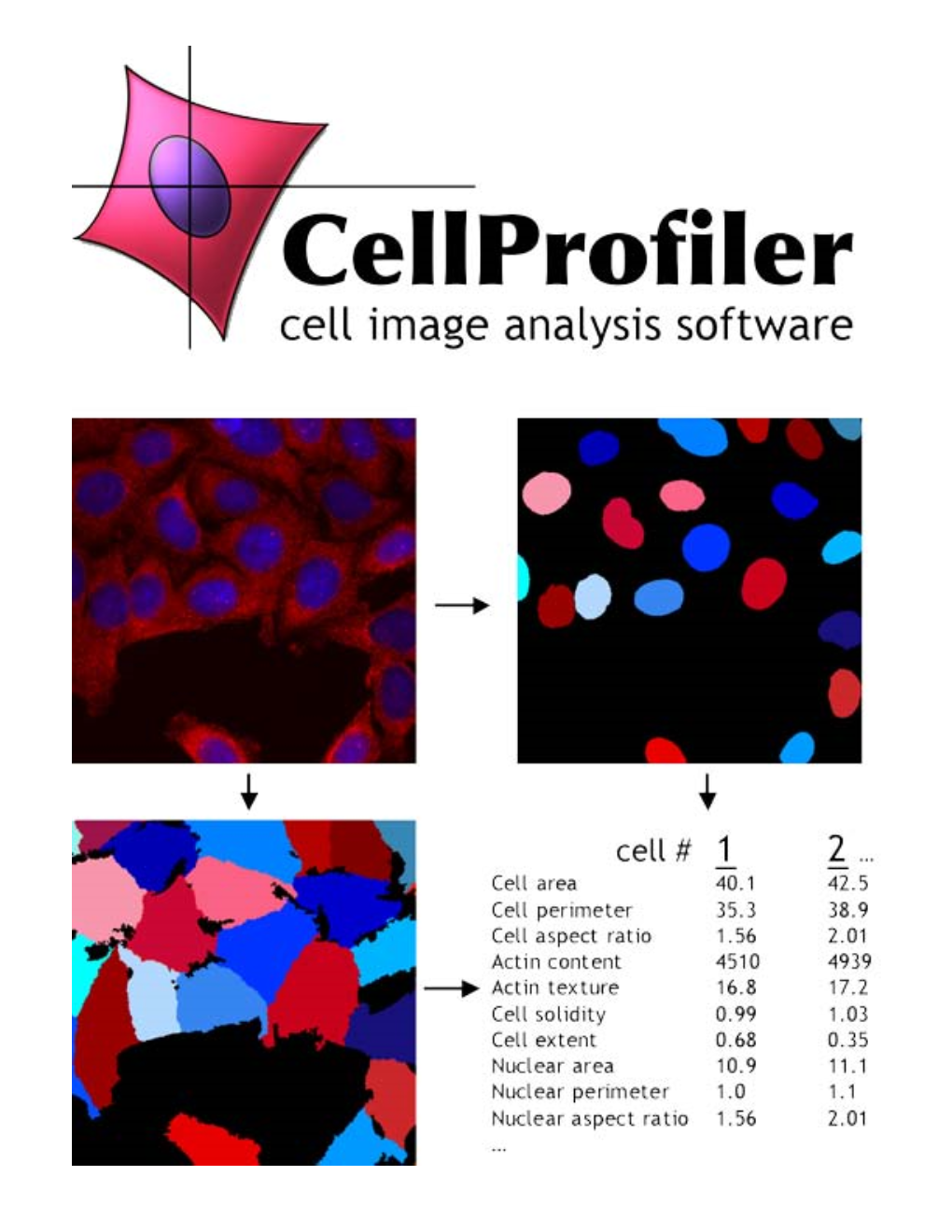 Cellprofiler Cell Image Analysis Software