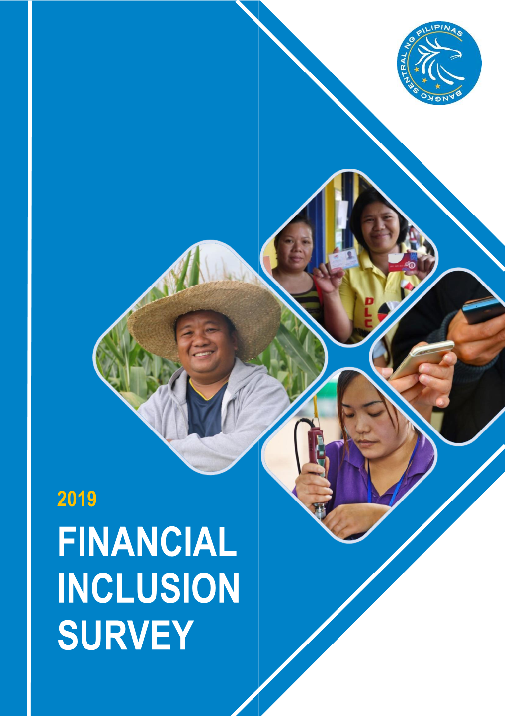 Financial Inclusion Survey