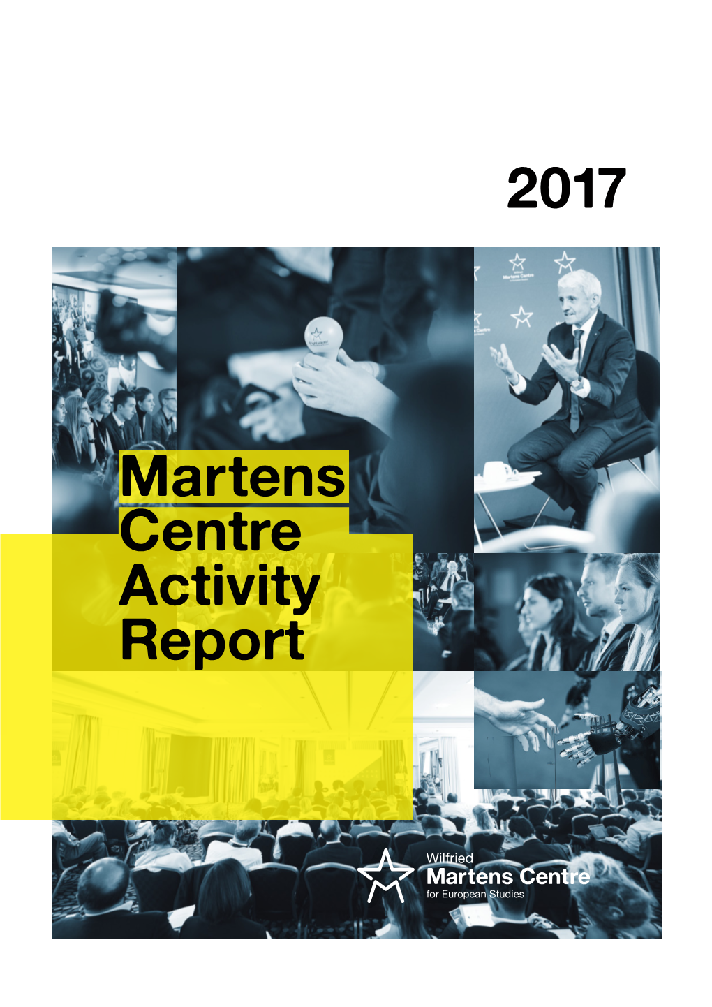 Activity Report 2017