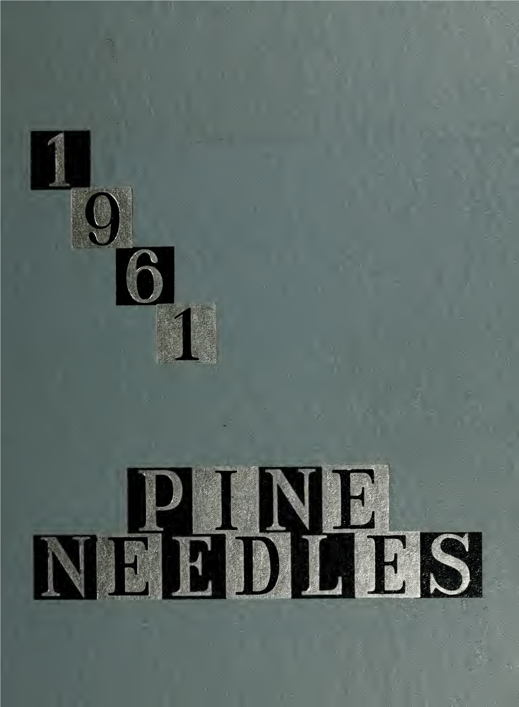 Pine Needles