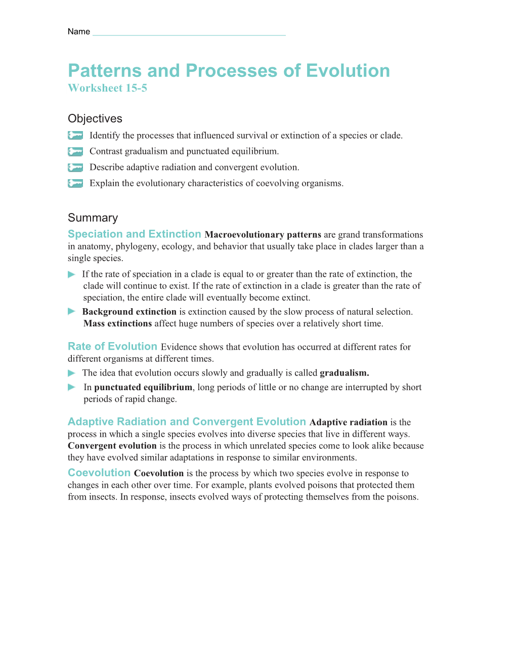 Pstterns and Processes Worksheet