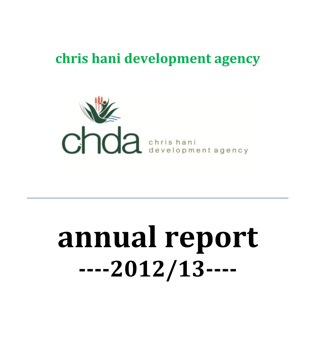 Annual Report ----2012/13