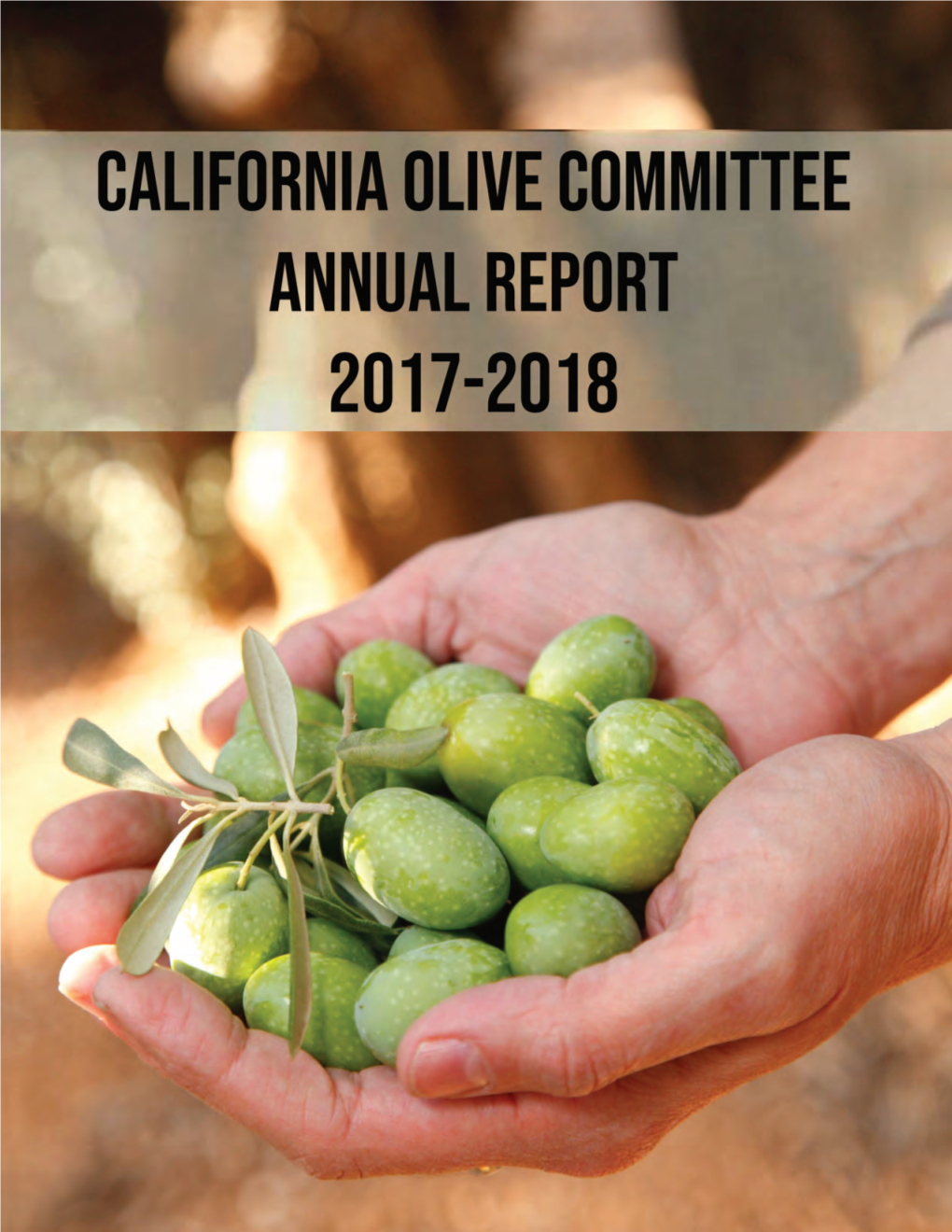 Southern Region Olive Fruit Fly Project 2018