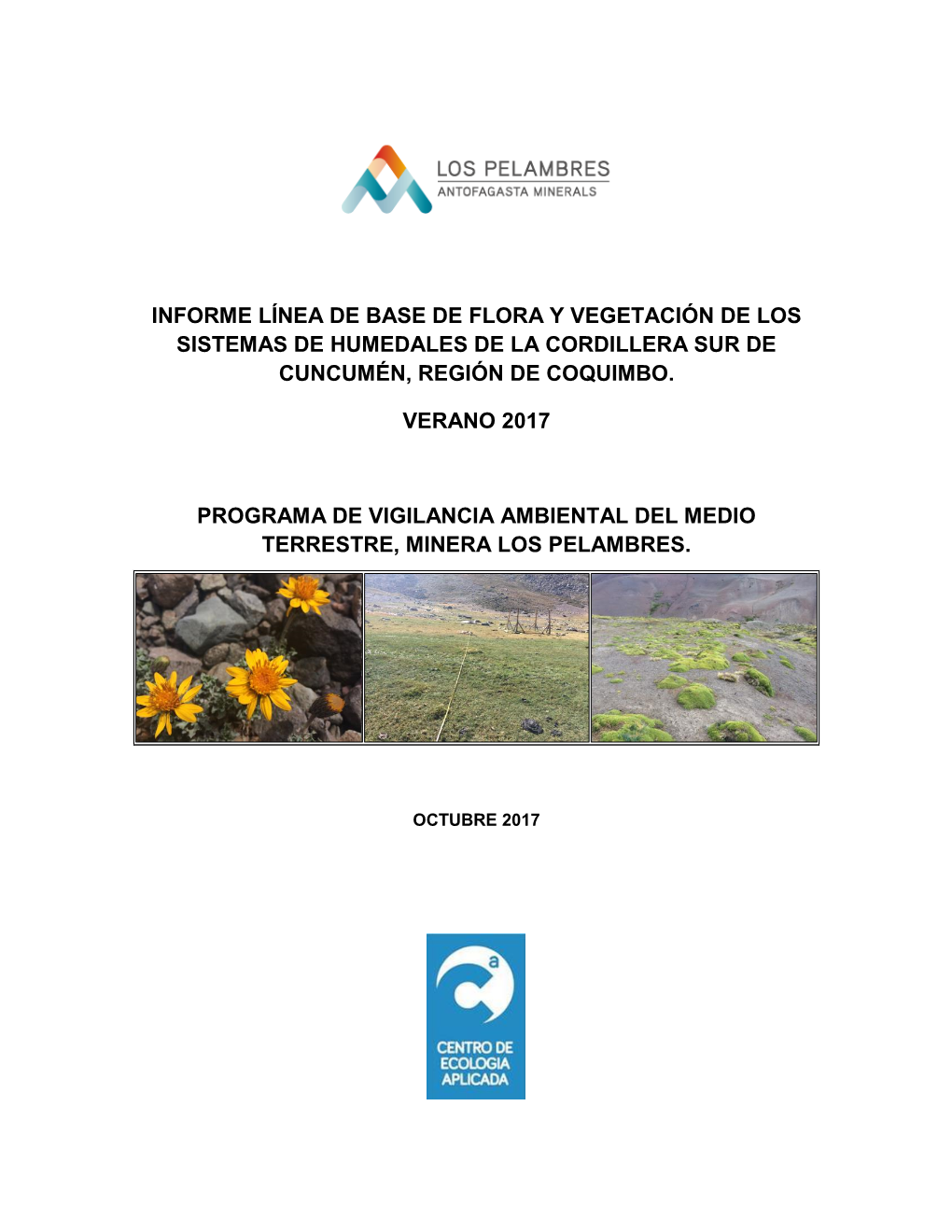 Informe Línea De Base De Flora Y Vegetación De Los Sistemas De Humedales De La Cordillera Sur De Cuncumén, Región De Coquimbo