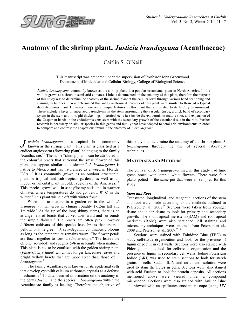 Anatomy of the Shrimp Plant, Justicia Brandegeana (Acanthaceae)