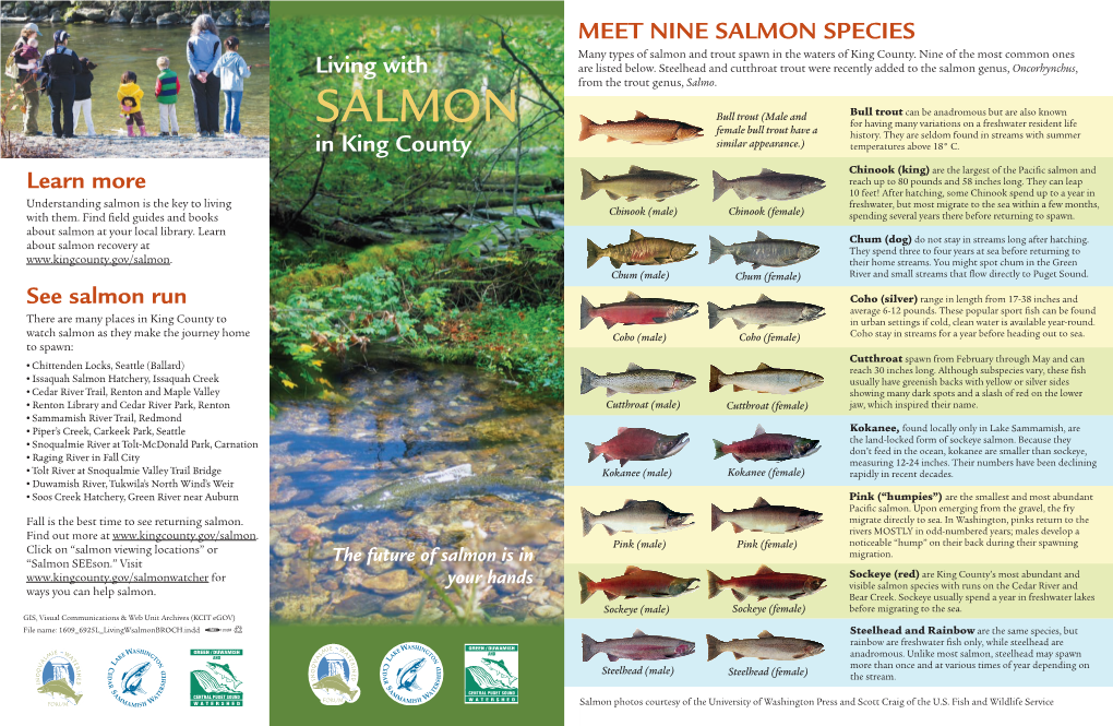 Living with Salmon in King County